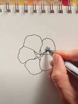 Draw a Hibiscus Flower with me! A How-to Video