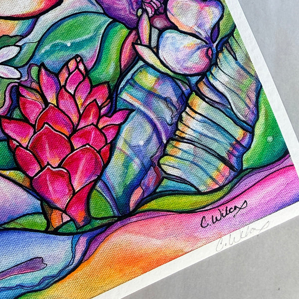 Colorful illustration of a flower and seashell on a gray background