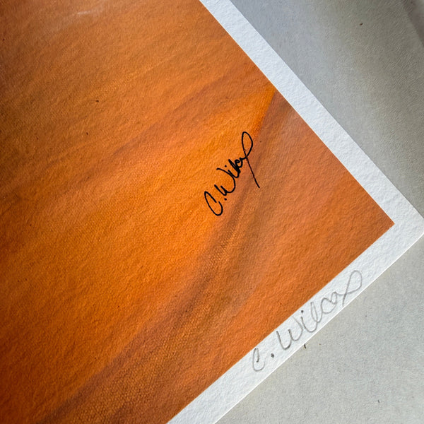 Windward Skies - Hand-Signed Agave Paper Print