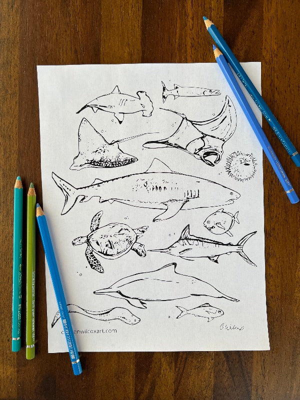 Undersea Animals Coloring Page- Digital
